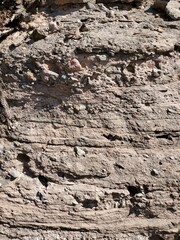 stone wall texture