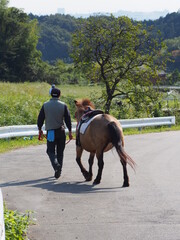 馬E