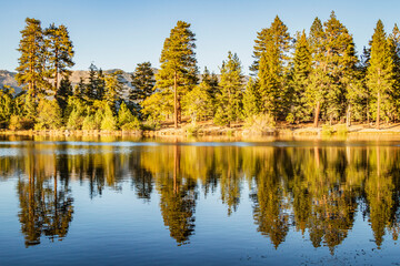 Trees reflected in the water of Jenks Lake in the San Bernardino Mountains, Southern California