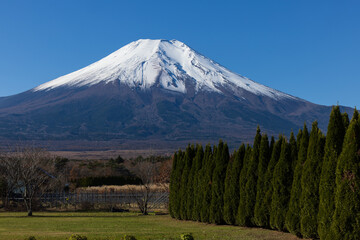 Fototapeta premium 山中湖村からの富士山