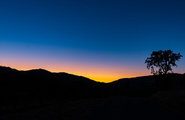 Santa Lucia Wilderness sunset afterglow with silhouetted tree 