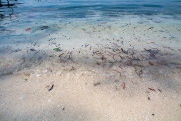 White sand background with blue sea water on the beach