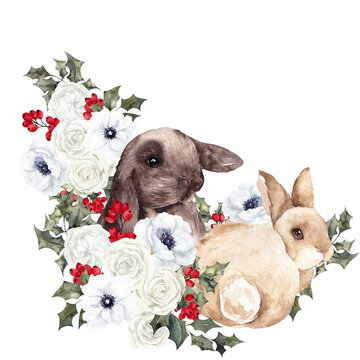 Watercolor composition with  cute bunny and winter flowers, symbol of the year, christmas arrangements, isolated on white background