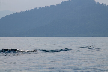 Fototapeta premium Blue ocean on island background and blue clouds