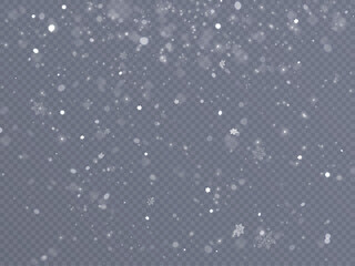 The effect of a winter blizzard. Snow top background. Template for wallpapers, web pages, posters. Snowstorm concept.