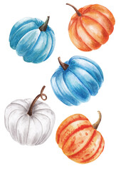 hand drawn watercolor illustration of pumpkins isolated on white background