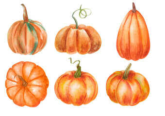 hand drawn watercolor illustration of pumpkins isolated on white background
