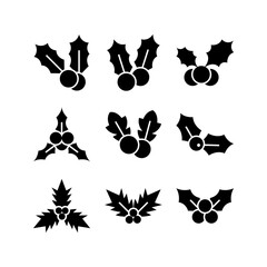 holly icon or logo isolated sign symbol vector illustration - high quality black style vector icons
