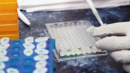 The scientist introduces a white liquid from a test tube into an immunological plate, the dosage of the drug in cells