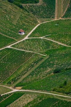 Aerial view of the beautiful vineyards surrounding the French Village of Chateau Chalon in the Jura