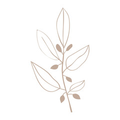 Obraz premium Forest herbs simple linear icon. Plants are drawn with a line.