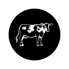 Cow icon on a black background looks forward. Engraved drawing sketch. For agriculture, milk and beef