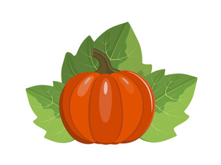 Orange pumpkin with leaves, flat style vector illustration isolated on white background