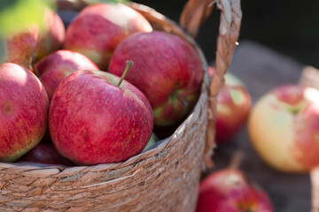 A wicker basket full of fresh fruit. Basket with red apples. Beautiful sunlight. Autumn harvest, harvesting or harvesting.