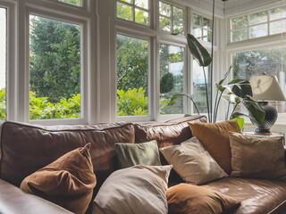 A brown leather sofa with scattered pillows, typical windows and a strelitzia plant in atypical British home. Interior decor.