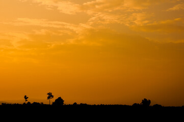 Fototapeta na wymiar silhouette of a horse and sunset