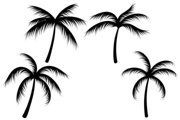 palm tree silhouette. coconut plant