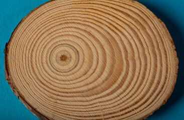 Rough view organic texture of tree rings with close up of end grain