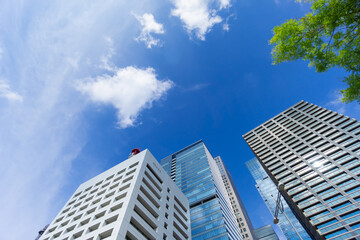 東京　2022　夏　大手町高層ビル群 © oka