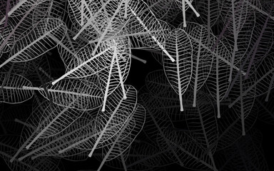 Dark Blue, Yellow vector doodle pattern with flowers, leaves.