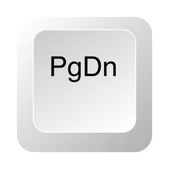 PgDn key