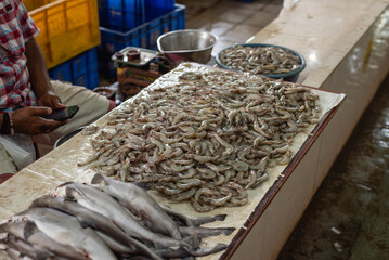 Freshly caught fish sorted and on display for sale in a local fish market in Goa India with selective focus