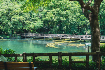 湖/橋/木/Lake/bridge/tree