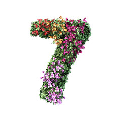 3d rendering of Bougainvillea number