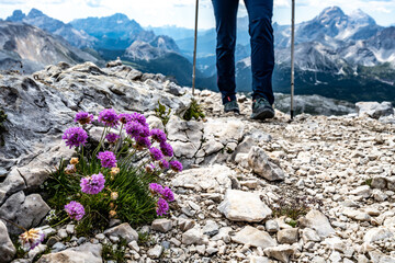 Legs of young woman hiking on beautiful mountain trail from Seekofel to Baires Lake in the afternoon. View on legs and hiking shoes from the front. Seekofel , Dolomites, South Tirol, Italy, Europe.
