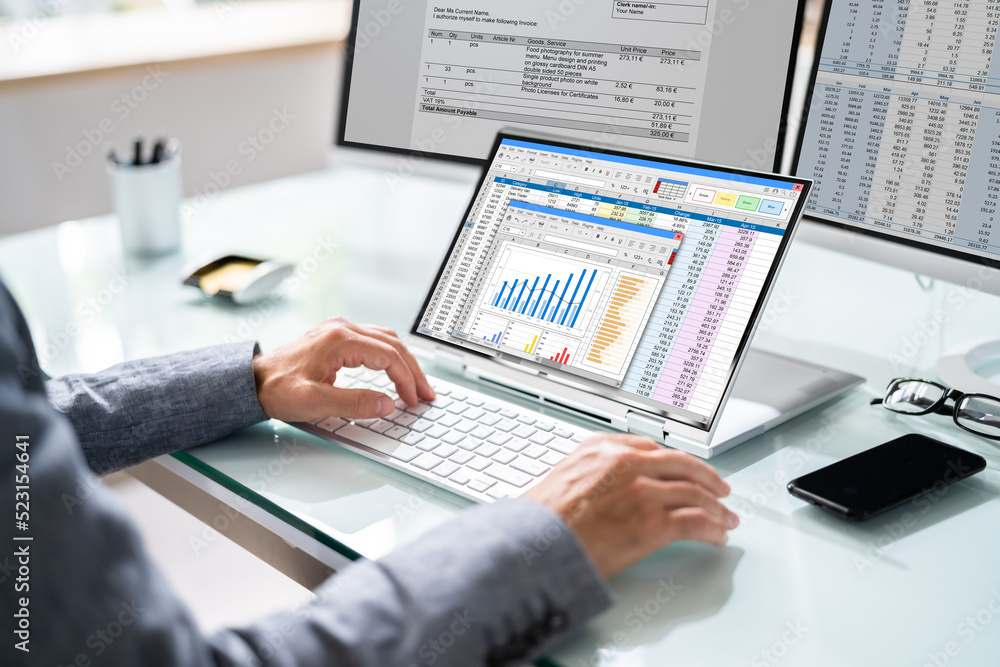 Poster electronic spreadsheet analyst or auditor using software