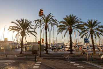 Fototapeta na wymiar Palma de Mallorca, Spain. Views of the Port de Palma, most important harbor in the island of Mallorca