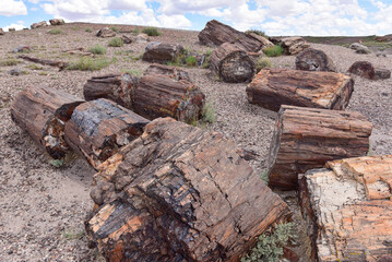 Fototapeta premium Scenic view of Petrified Forest National Park in Arizona, EEUU.