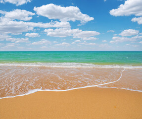 Sandy seashore at day.