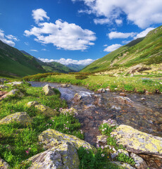 Obraz premium Pure river in mountain valley.