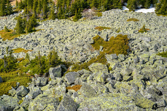 South Ural kurumnik, stones, cobblestones, moss with a unique landscape, vegetation and diversity of nature.