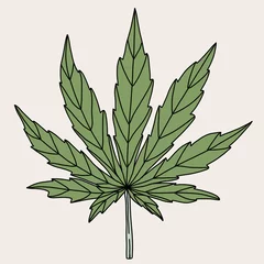 Photo sur Plexiglas Monstera simplicity cannabis leaf freehand drawing.
