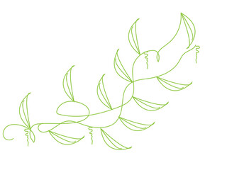 Green leaves in nature vector design element, hand drawn tree branch border decoration in pretty spring or summer pattern for graphic art projects