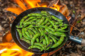 アウトドア料理　Cooking edamame (green soybeans) grilled over an outdoor bonfire