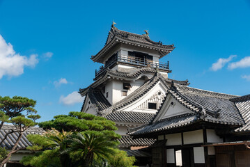 秋晴れの高知城