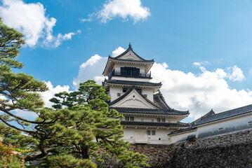 秋晴れの高知城