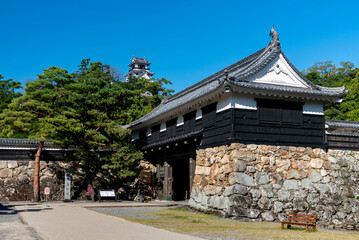 秋晴れの高知城