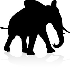 An elephant safari animal silhouette 