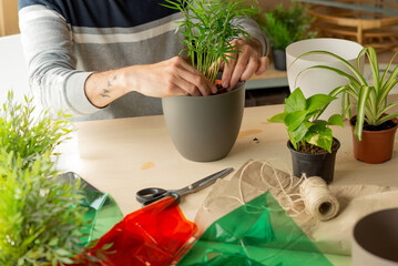 man transplanting a plant into a pot. person surrounded by producers of gardening and floral decoration

