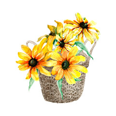 Bouquet of yellow daisies in a wicker basket. Easter bouquet of field sunflowers. Autumn garden flowers. Hand drawn watercolor illustration for card, invitation, banner, thanksgiving, print.
