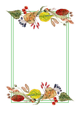 Rectangular frame with a bouquet of autumn leaves, berries, acorns. Hand drawn watercolor illustration on white background for holiday card, wedding invitations, cover, packaging, print, thanksgiving.