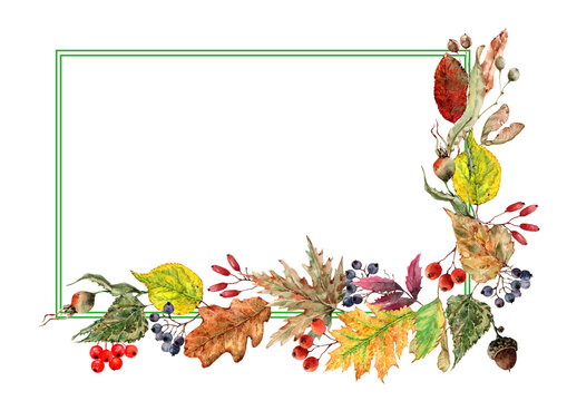 Horizontal rectangular frame with a  autumn leaves, berries, acorns. Hand drawn watercolor illustration white background for holiday card, wedding invitations, cover, packaging, print, thanksgiving.