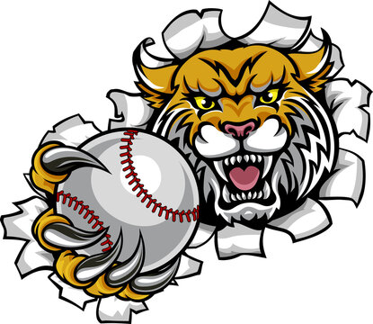 A wildcat angry animal sports mascot holding a baseball ball and breaking through the background with its claws