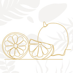 lemons drawing by one continuous line, on abstract background vector