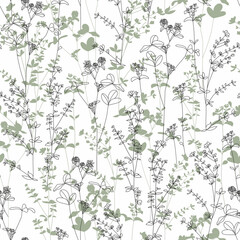 Vector seamless pattern with medicinal and edible herbs. - 523163261