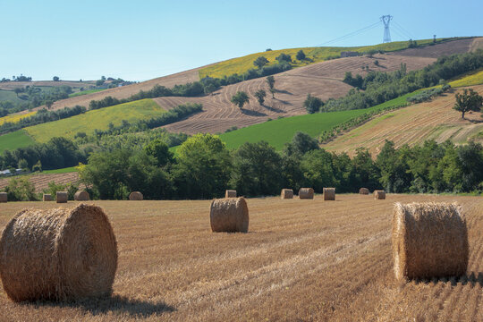 Sarnano, Macerata. Panorama rurale con balle di paglia dopo la la mietitura